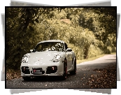 Porsche Cayman S, Droga