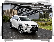 Lexus NX Crafted