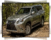 Lexus GX, 2020