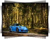 Niebieskie, Porsche 911 GT3, Las