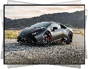 Lamborghini Huracan Performante, 2020