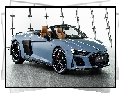 Audi R8 Spyder Performance