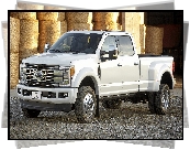 Ford Super Duty F-450 Platinum