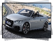 Audi TT RS, Roadster, 2019