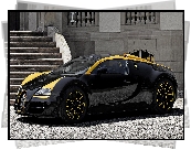 Bugatti Veyron Grand Sport Vitesse, Kabriolet