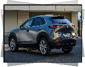 Mazda CX-30, Tył