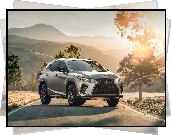 Lexus RX 350 F, Droga