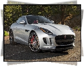 Srebrny, Jaguar F-Type