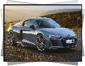 Audi R8 Coupe Performance, Bok