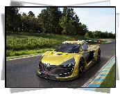 Rajdowy, Renault Sport RS 01