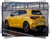 Renault Megane RS Trophy