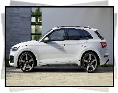 Audi SQ5, Bok