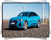 Niebieskie, Audi e-Tron 55 Sportback