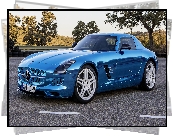 Mercedes-Benz SLS AMG