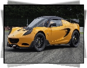Żółty, Lotus Elise 250