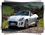 Jaguar F-Type, Kabriolet