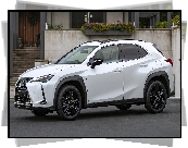 Biały, Lexus UX, Bok