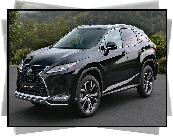 Lexus RX, 2021