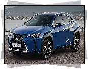 Lexus UX, Hybryda