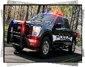 Ford F-150, Policyjny