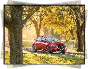 Czerwona, Mazda 6, Drzewa