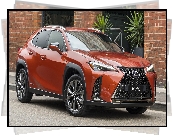 Lexus UX, Hybryda, , Czerwony