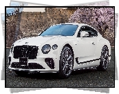 Bentley Continental GT, Biały