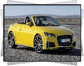 Audi TT Roadster S