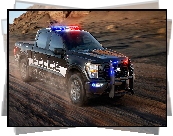 Ford F-150, Policyjny, 2021