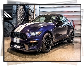 Ford Mustang Shelby GT350