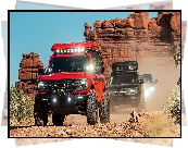 Samochody, Ford Bronco Sport