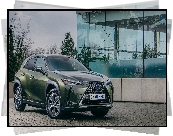 Lexus UX 300e, Oliwkowy