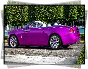 Rolls-Royce Dawn, Bok, Kabriolet