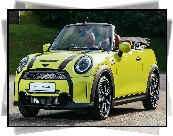 Żółty, Mini Cooper S, Kabriolet