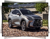 Lexus NX 350h