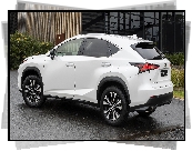 Lexus, NX, Crafted