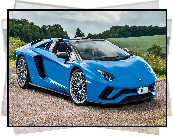 Niebieskie, Lamborghini Aventador S