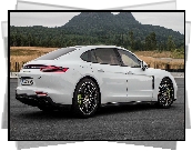 Białe, Porsche Panamera Turbo S E-Hybrid, Bok