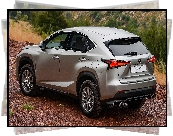 Lexus NX, Bok, Tył