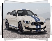 Ford Mustang Shelby GT350 Heritage Edition, 2020