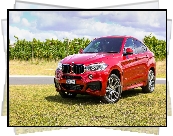 BMW X6, F16, Czerwony