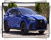 Lexus NX plug-in Hybrid F Sport