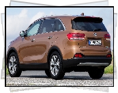 Kia Sorento, Eco Dynamics