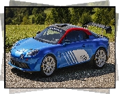 Alpine A110 Rally, Rajdowy