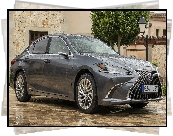 Lexus ES Hybrid, 2021, Deszcz