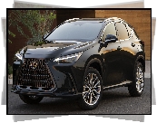 Czarny, Lexus NX