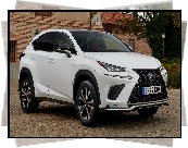 Lexus NX Hybrid F Sport, 2017