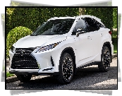 Lexus RX Moonlight Edition