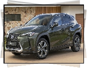 Lexus UX 300e, Elektryczny