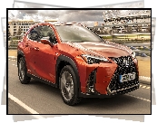 Lexus UX Hybrid F Sport, 2019